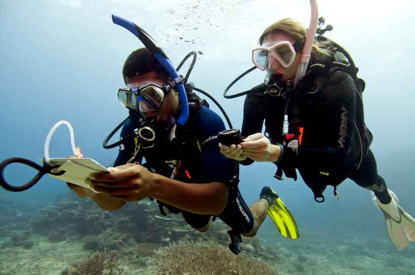 mapping-project-divemaster-program-go-pro-amed-bali-diversity