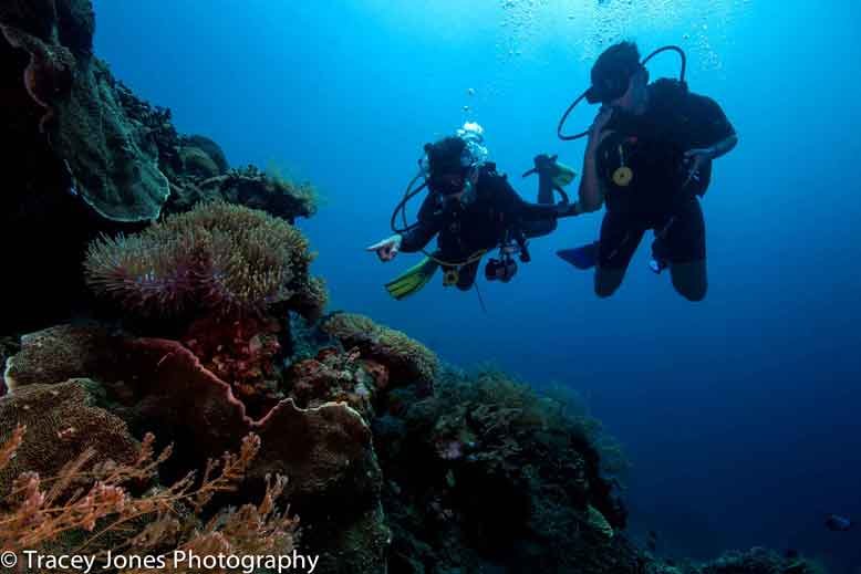 showing-marine-life-to-divers-PADI-divemaster-role-model-amed-go-pro-bali-diversity