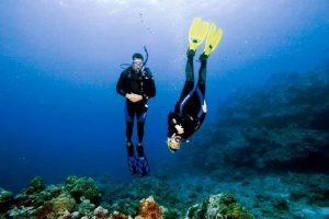 Perfect your buoyancy by signing up for the PADI Advanced dive Peak Performance Buoyancy