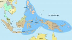 The Coral Triangle, the richest place on Earth and its boundaries