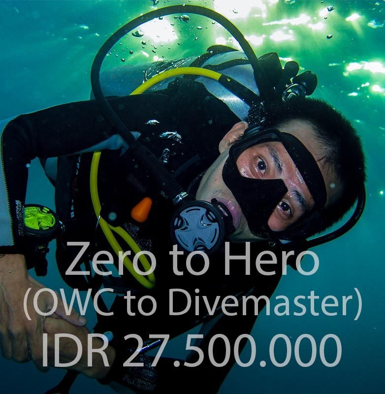 zero-to-hero-pack-course-diving-package-open-water-advanced-efr-rescue-divemaster-internship-training-bali-diversity