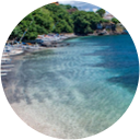 Amanda Walsh profile picture