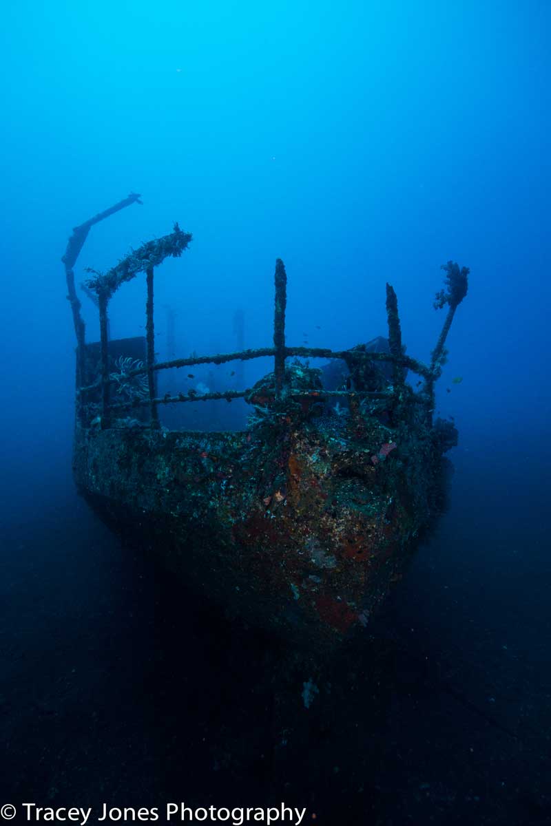 PADI Tec training at Bali Diversity opens access to deeper wrecks beyond recreational limits.