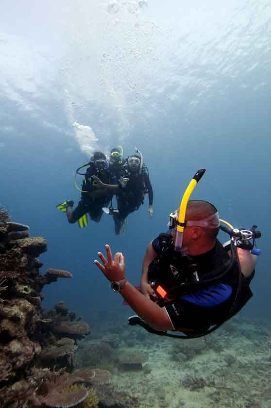 PADI-scuba-diver-course-guided-dive-amed-best-place-to-try-bali-diversity