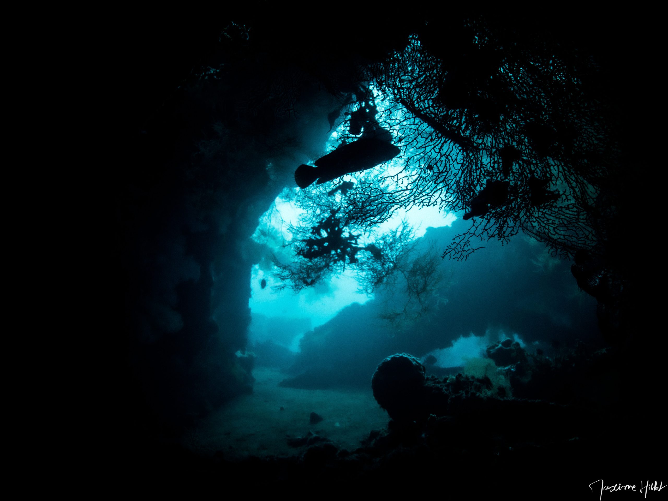 Go beyond standard dive sites and access advanced wreck exploration through PADI Tec Instructor training at Bali Diversity.