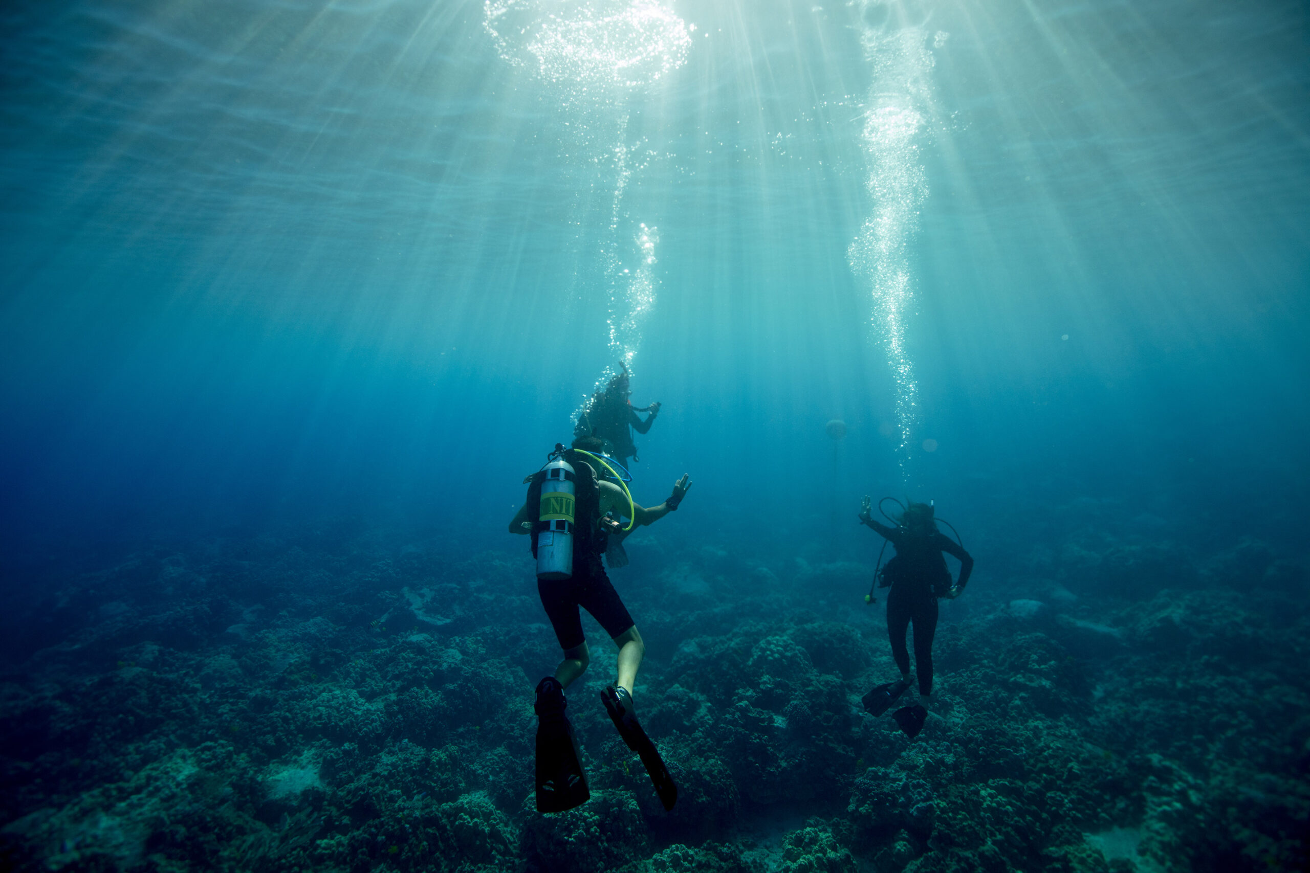 Dive Buddies making sign underwater Dive Buddies making sign underwater