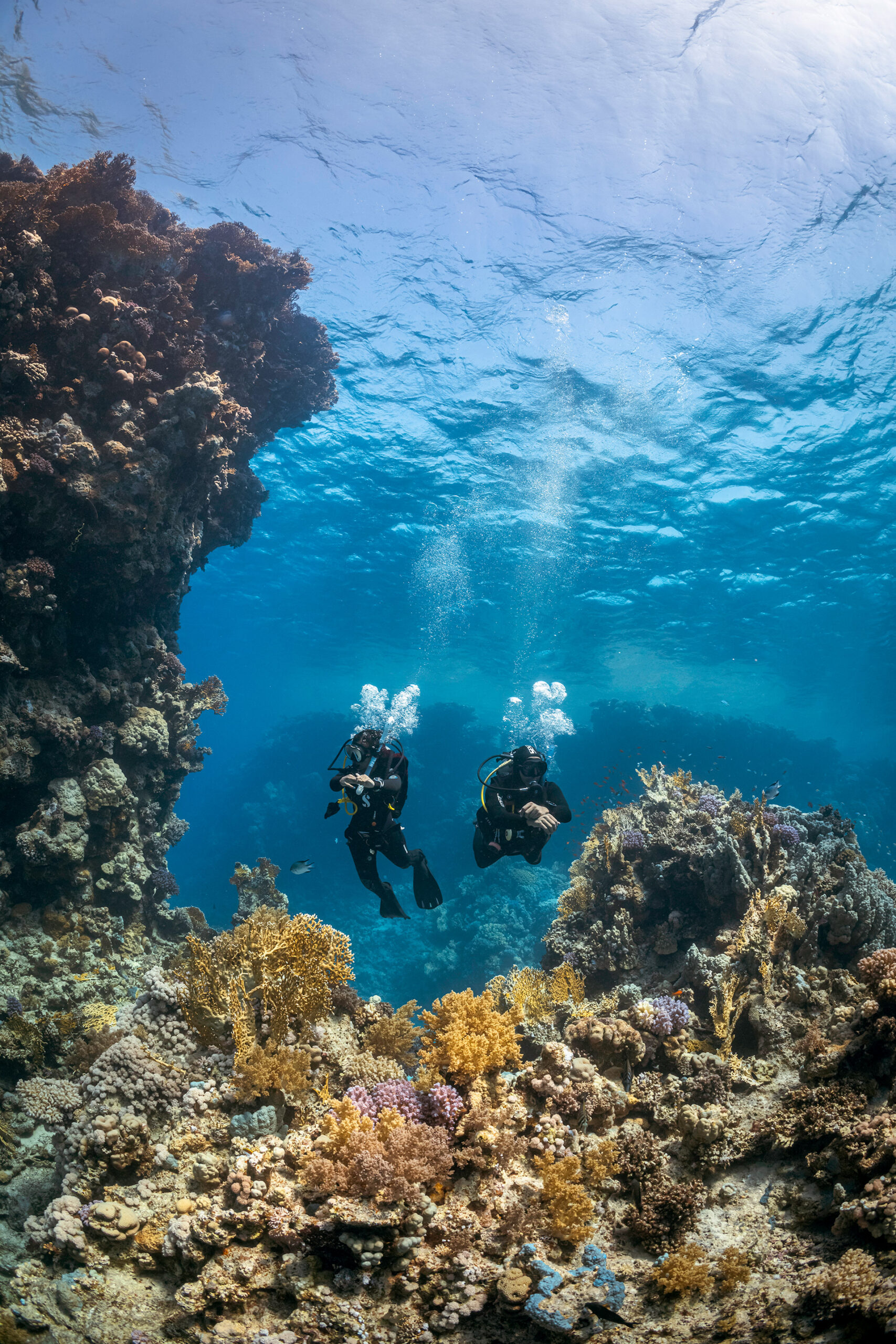 Divers over coral reef Divers over coral reef