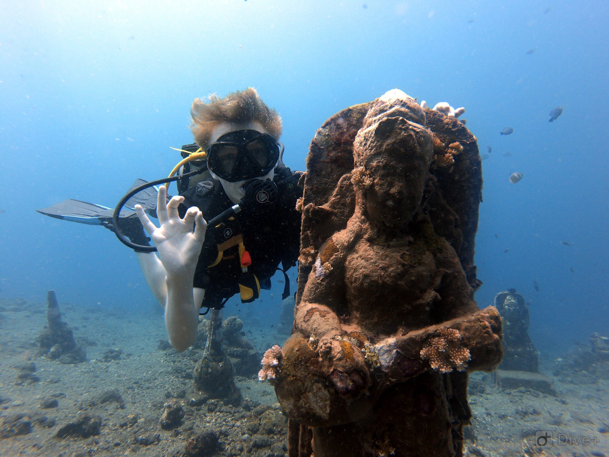 Feel the thrill of weightlessness and marine life all around you while learning to dive with Bali Diversity, a trusted 5 Star PADI Dive Center in Bali.