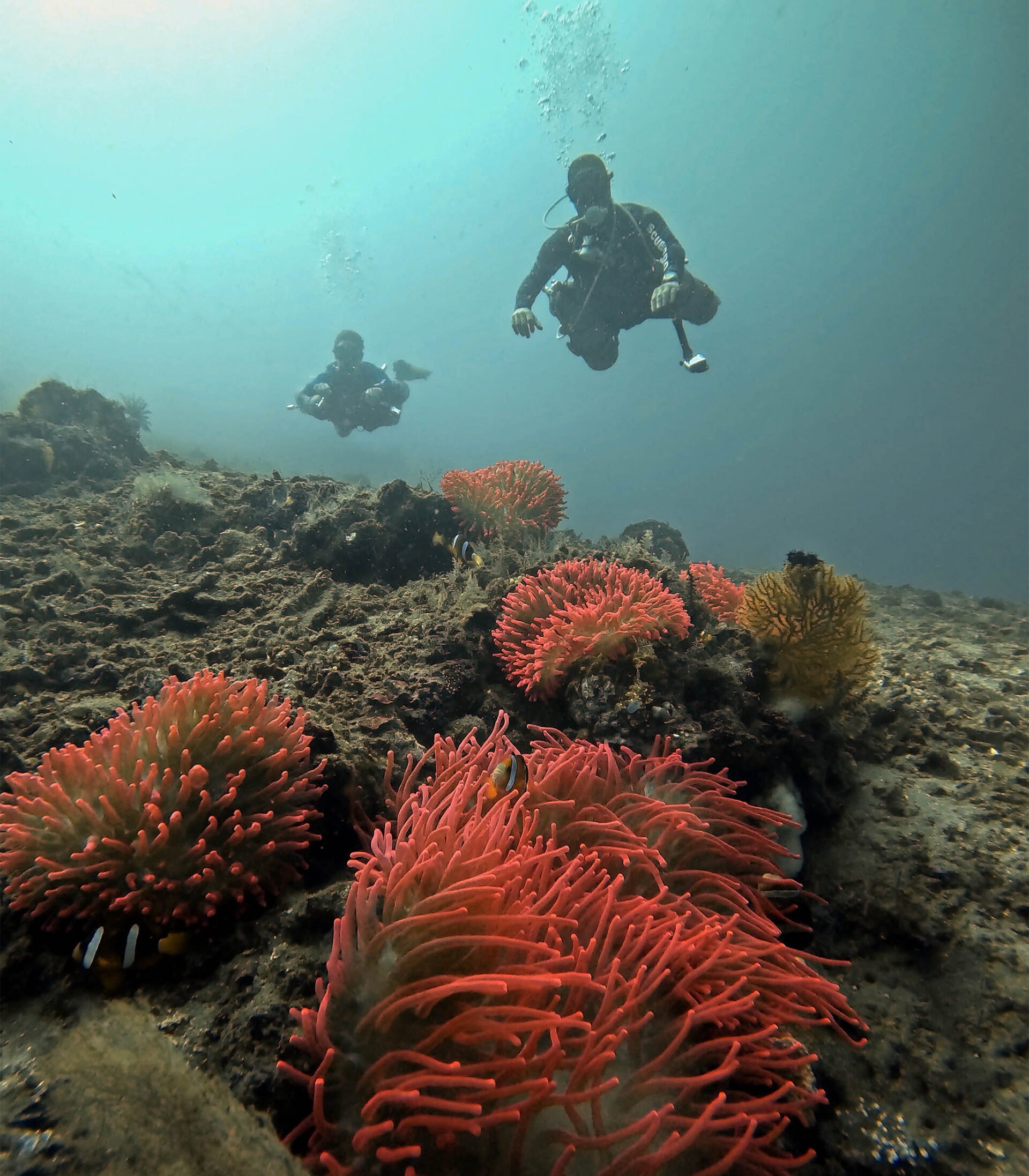 PADI Tec 45 with Bali Diversity reveals deeper underwater landscapes through precision planning and technical mastery.