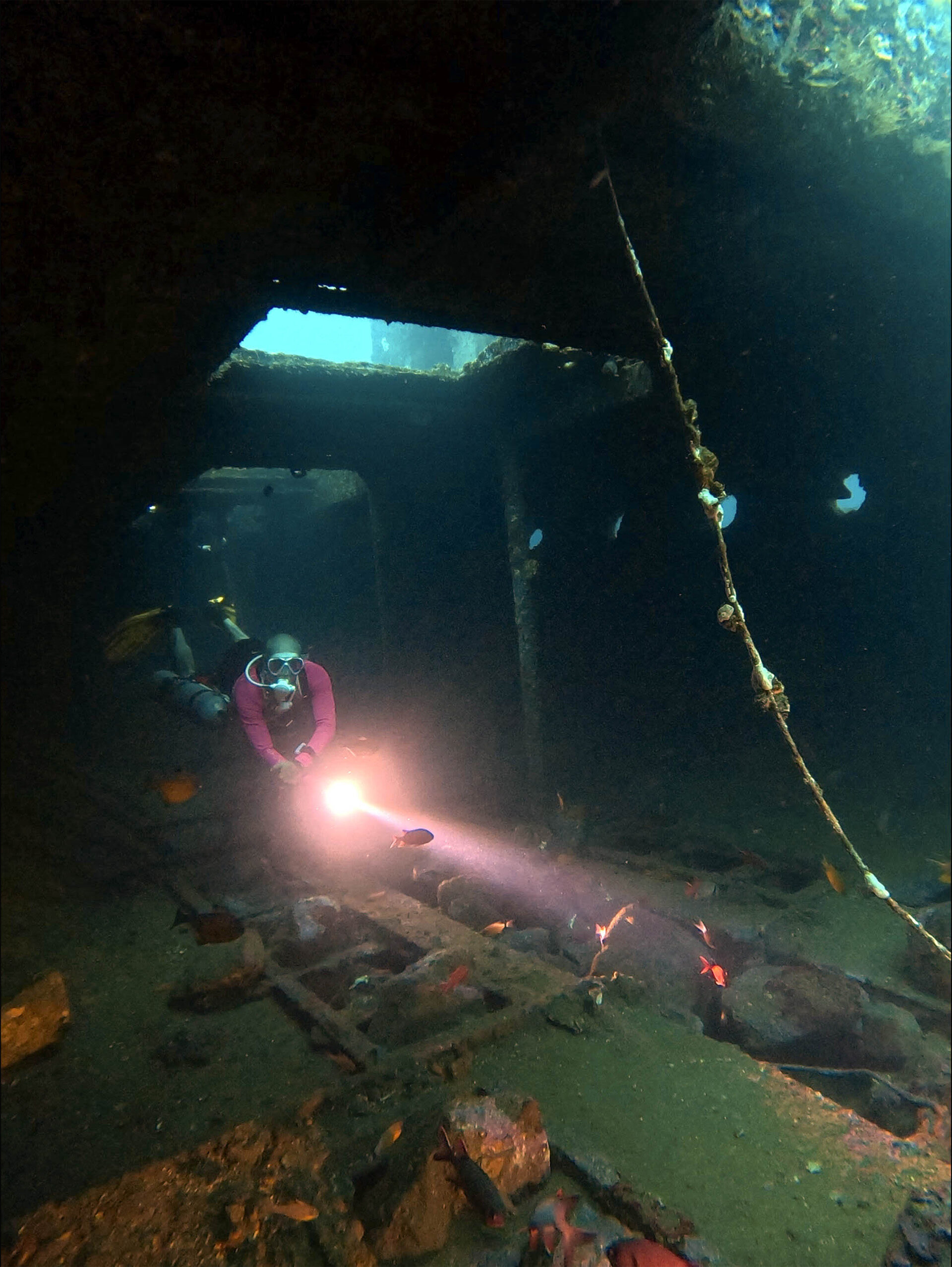 Train for controlled wreck penetration and complex technical environments in the PADI Tec 50 course with Bali Diversity.