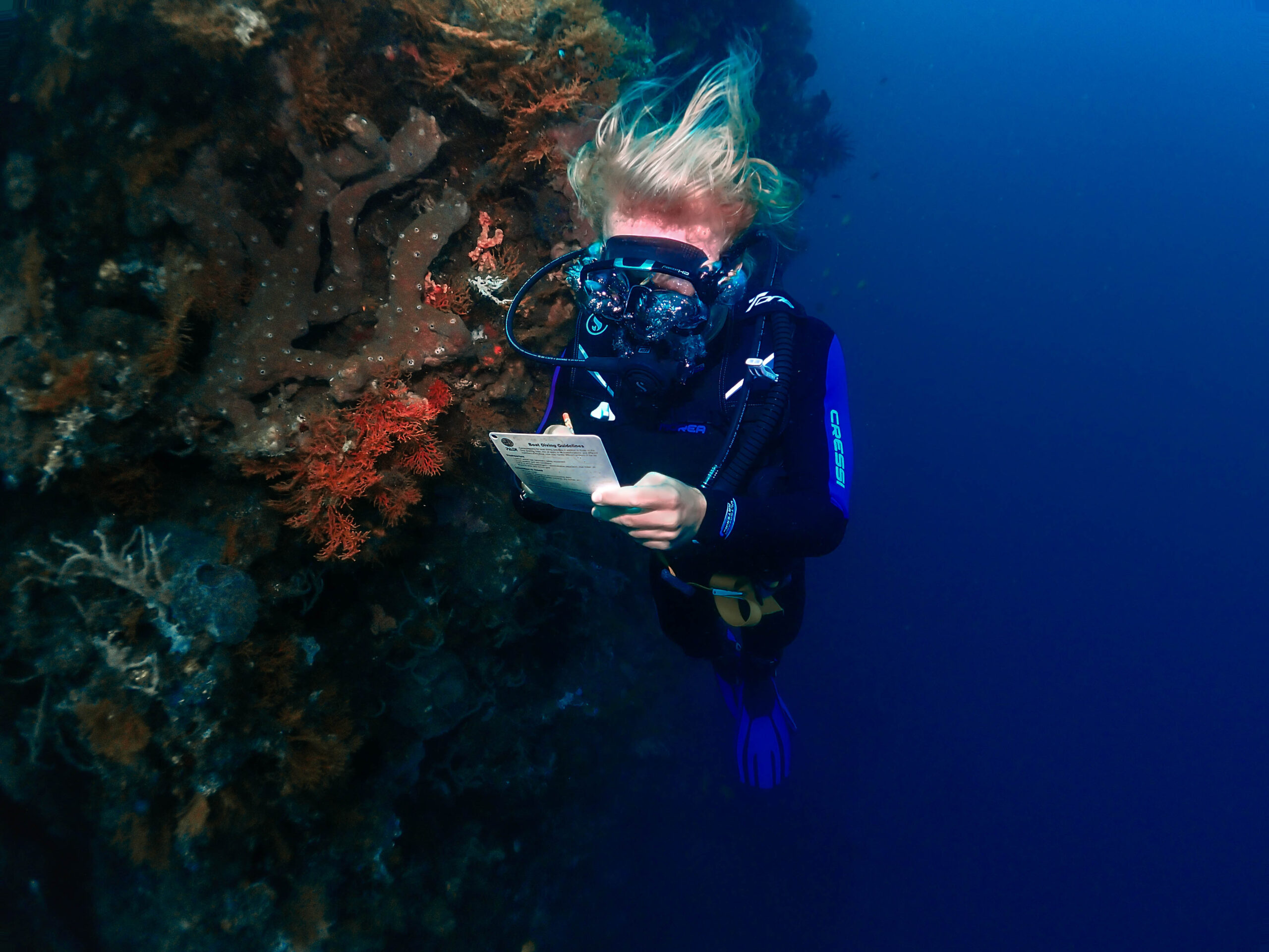 Develop control, awareness, and leadership as you progress toward your dream diving career with Bali Diversity.