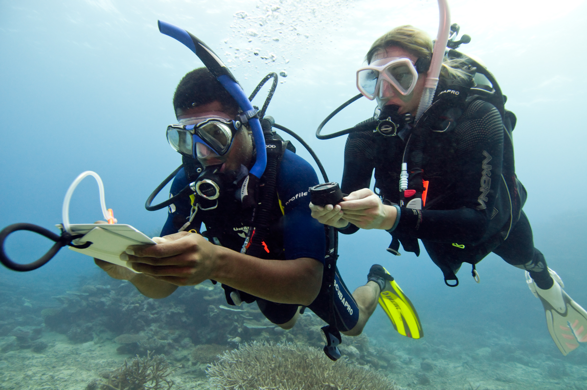 Real underwater training and unlimited diving prepare you for your PADI professional career with Bali Diversity.