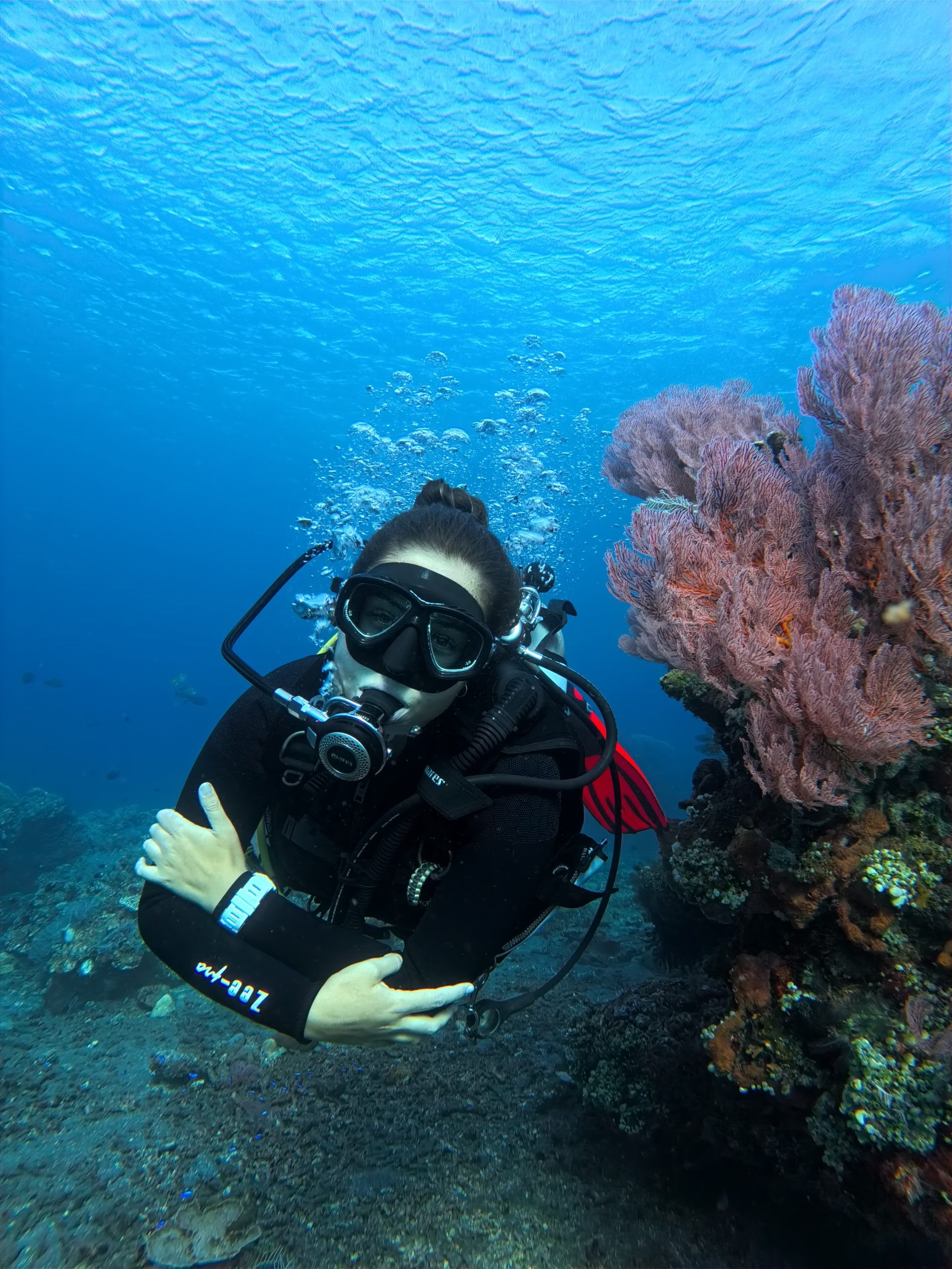 Develop true professional confidence underwater while training at Bali Diversity’s 5 Star PADI Dive Center.