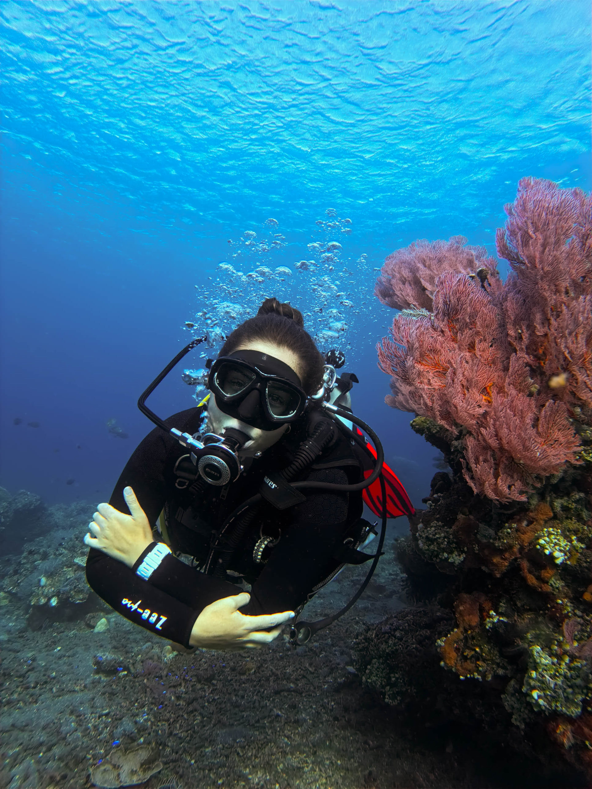 As a PADI MSDT, enjoy access to exciting dive sites while building a sustainable instructor career with Bali Diversity.