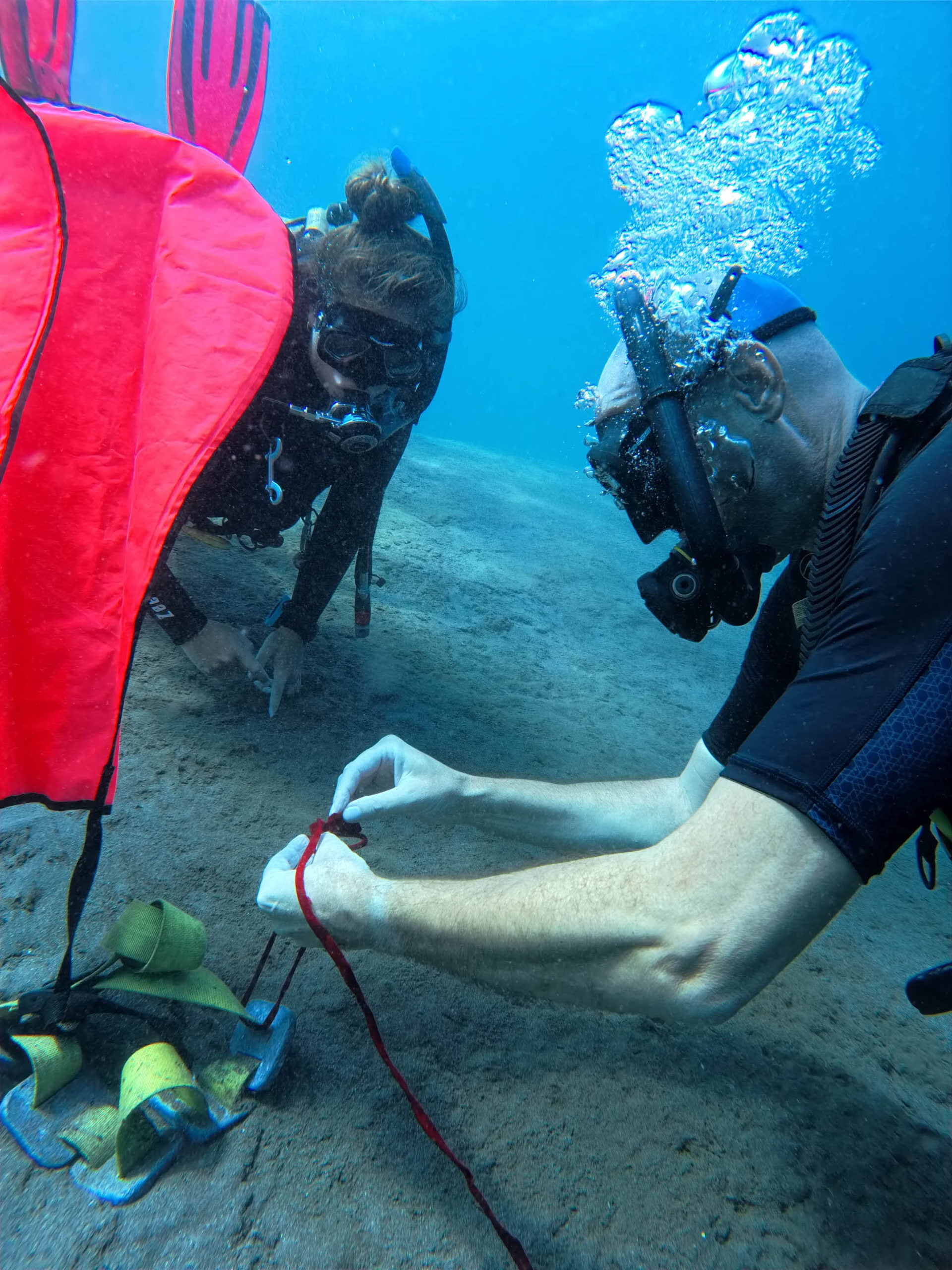 Teach multiple specialties with confidence during PADI MSDT training at Bali Diversity and expand your professional reach.