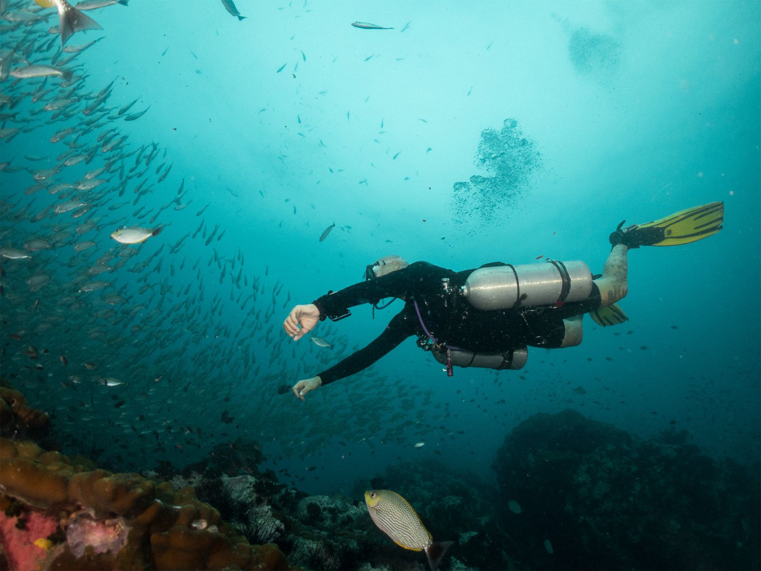 Experience the freedom of advanced sidemount technical diving during the PADI Tec 50 course with Bali Diversity.