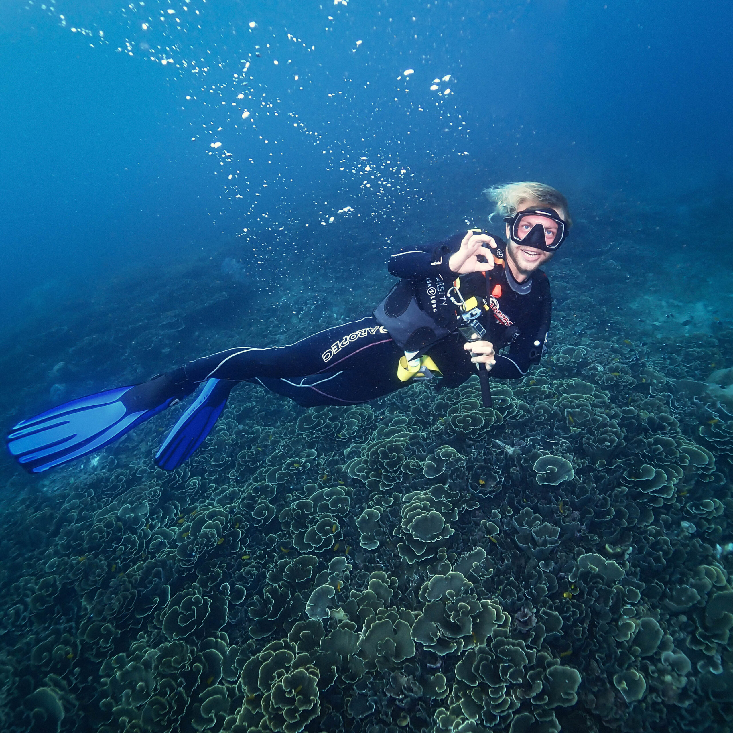 Start your underwater adventure with the PADI Open Water Course at Bali Diversity and discover a world of color, life, and excitement beneath the surface.