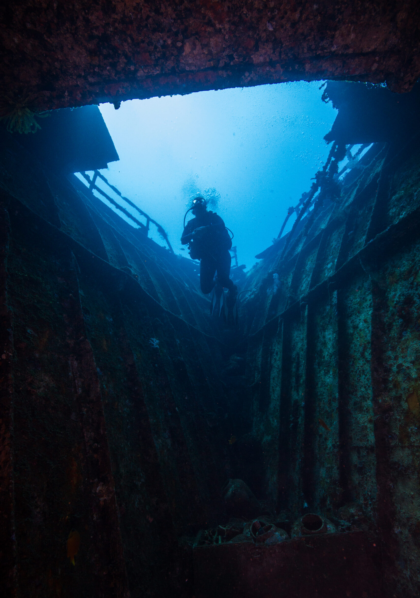 Gain more teaching opportunities by becoming a PADI Specialty Instructor with Bali Diversity