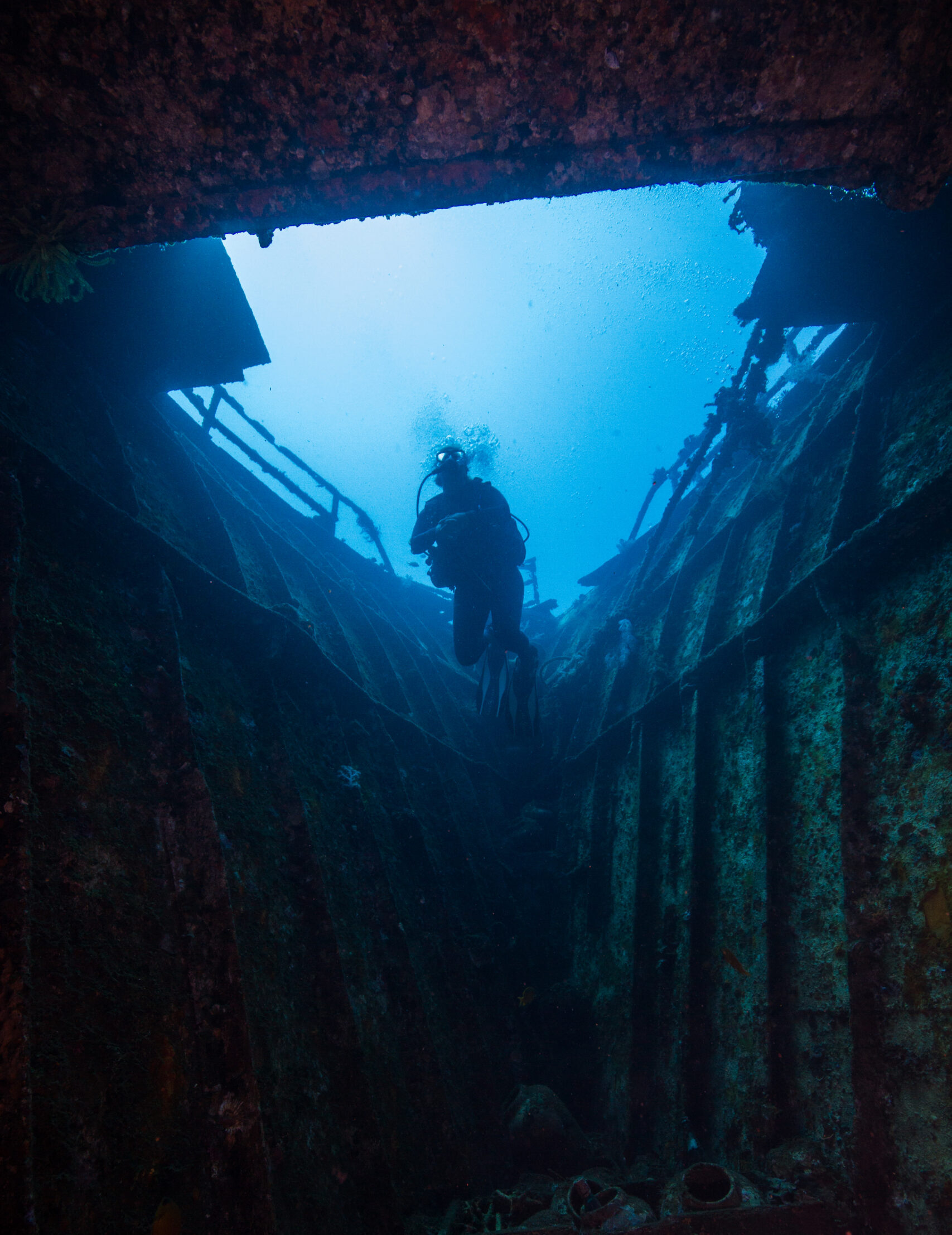 Dive legendary WWII wrecks and experience history beneath the surface with Bali Diversity in Tulamben and Kubu.