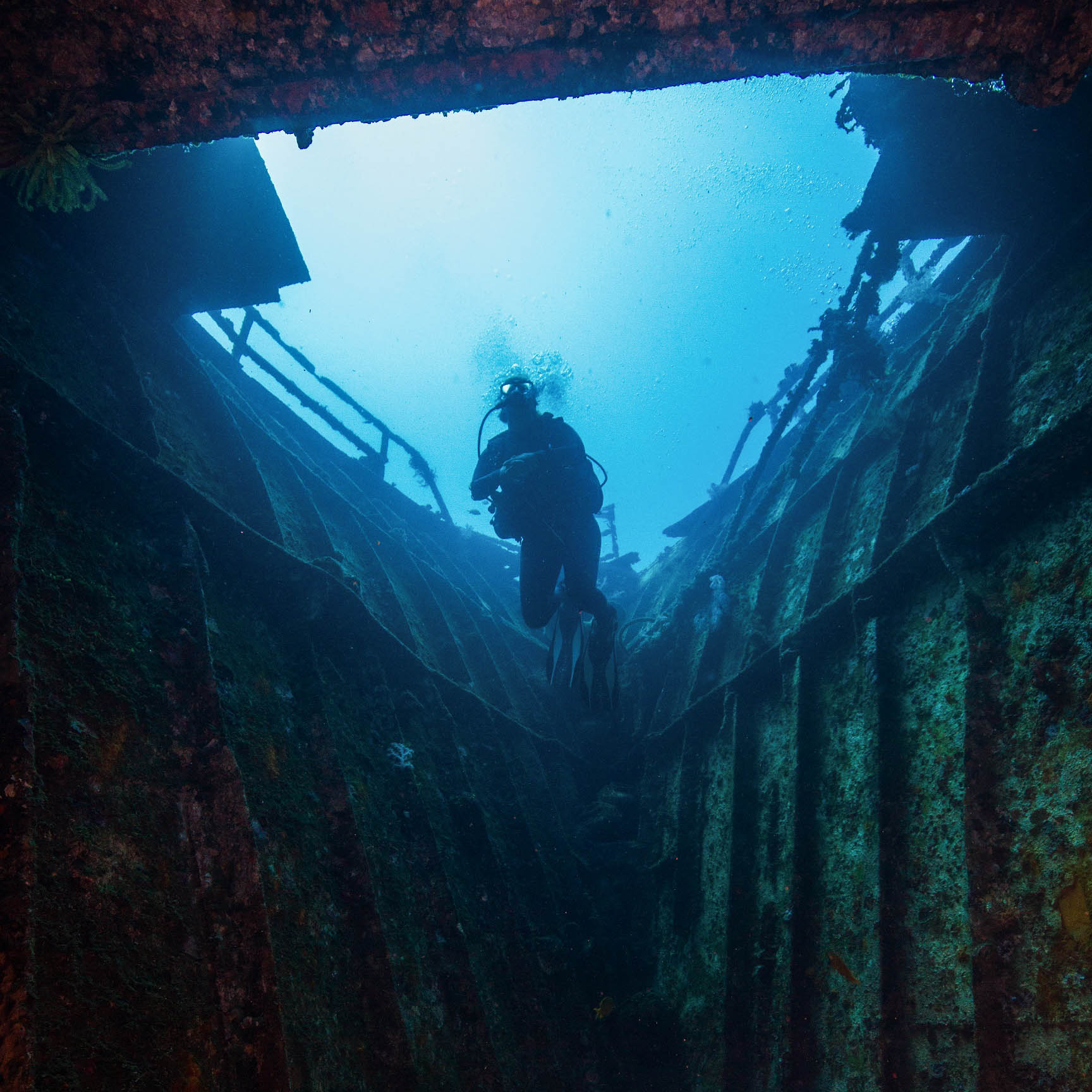 Dive deeper into history and unlock thrilling underwater wrecks with the PADI Wreck Specialty at Bali Diversity.