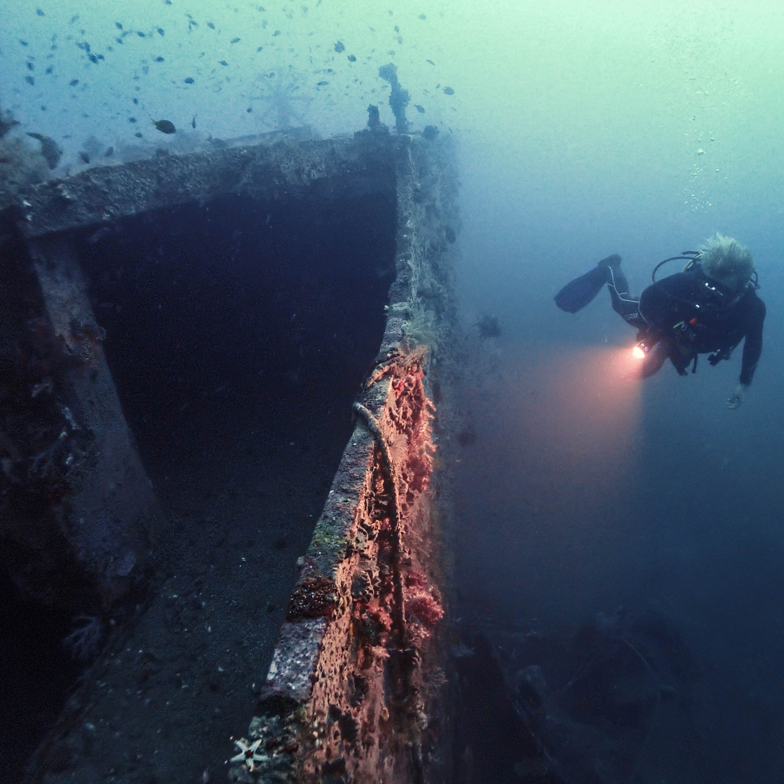 Explore deeper, develop real confidence, and unlock Bali’s most exciting wreck sites with Bali Diversity.