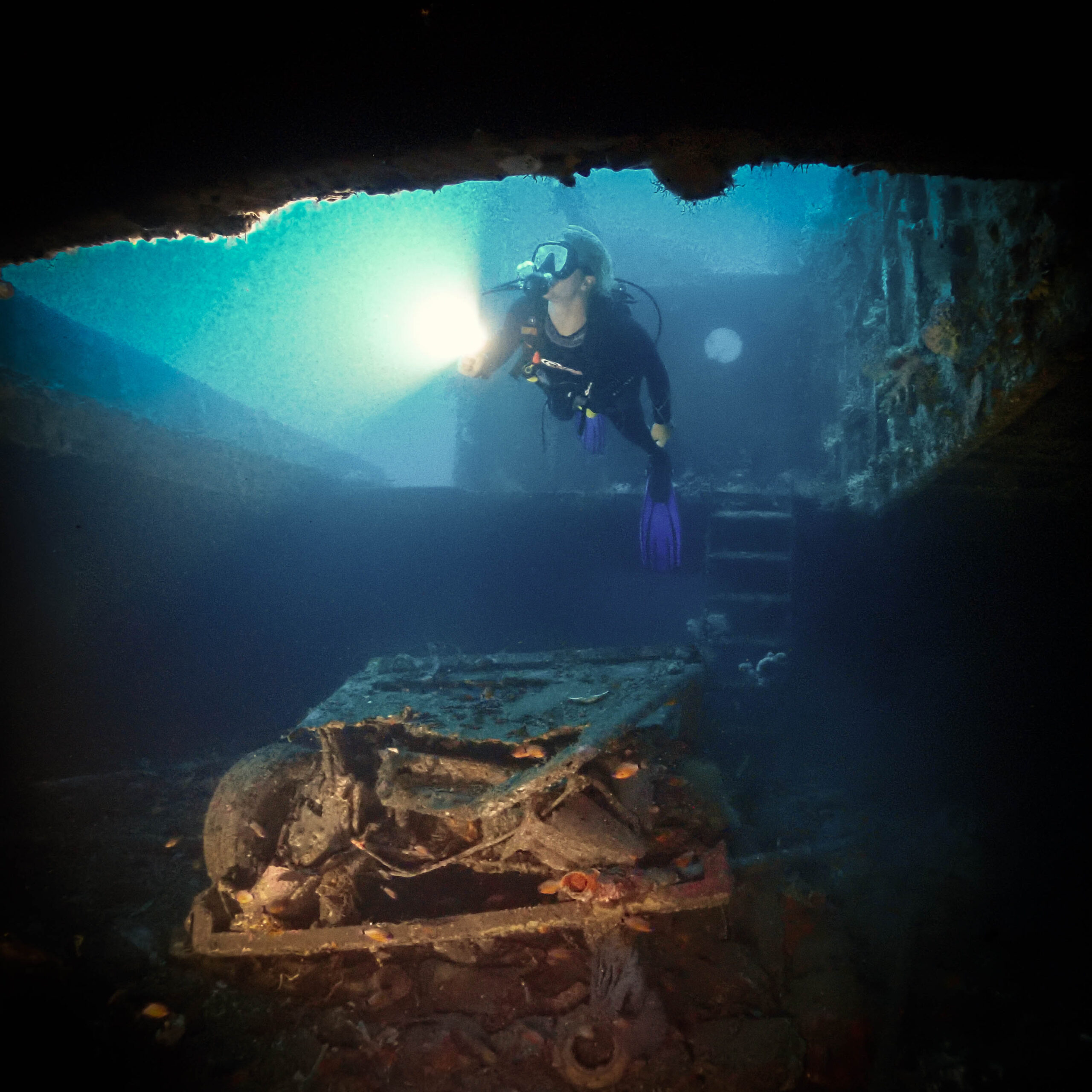 Explore breathtaking Bali wrecks while developing real Divemaster leadership abilities.