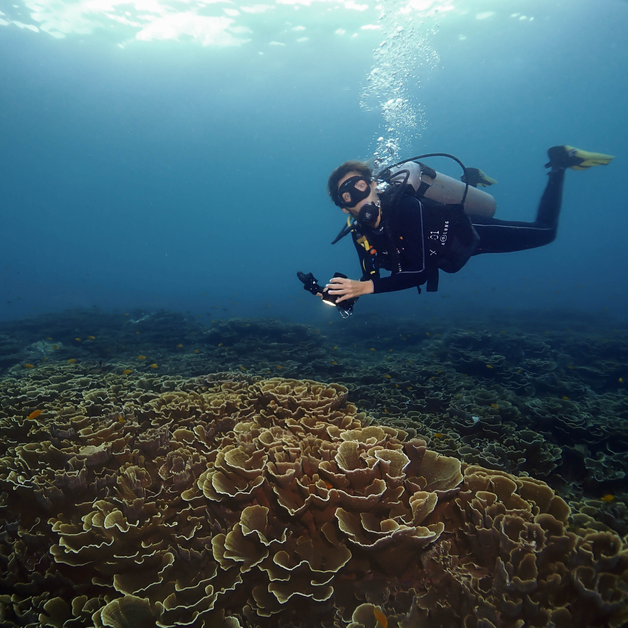 Learn to take stunning underwater photos while exploring Bali’s vibrant marine world with Bali Diversity.