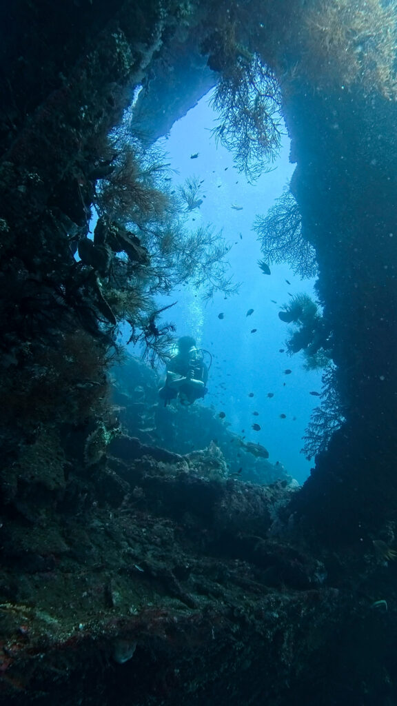 School of tropical fish swimming around the USAT Liberty shipwreck in Tulamben, Bali.