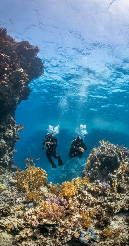 Divers over coral reef