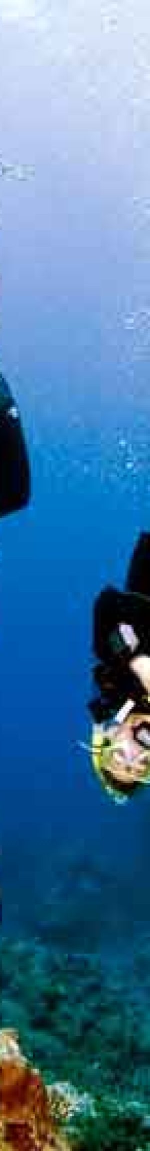 Perfect your buoyancy by signing up for the PADI Advanced dive Peak Performance Buoyancy with Bali Diversity.