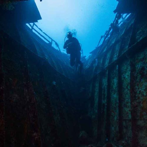 Dive the new Boga wreck in Kubu, Bali!
