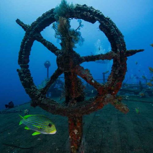 boga-wreck-detail-photography-kubu-fun-dive-bali-diversity