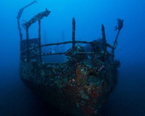 Dive the new Boga wreck in Kubu, Bali!