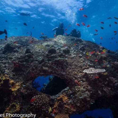 discover-scuba-diving-wreck-liberty-tulamben-bali-diversity
