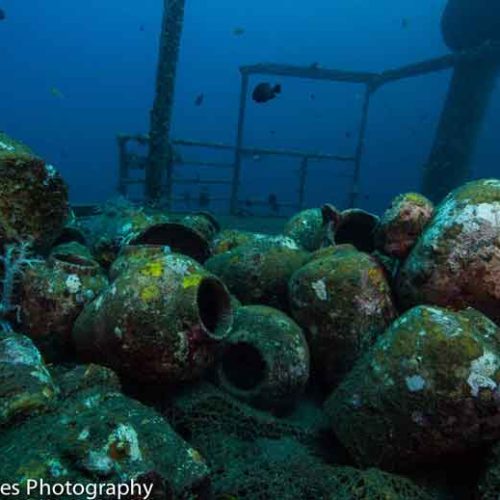 kubu-wreck-details-potteries-archeology-wreck-dive-specialty-padi-bali-diversity