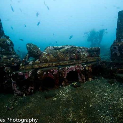 underwater-temple-tulamben-coral-garden-fun-dive-bali-diversity