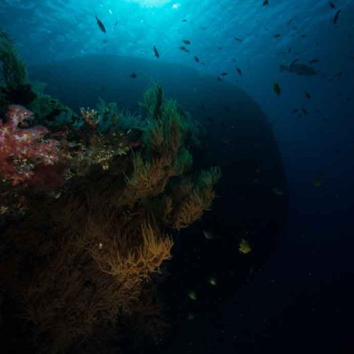 usat-liberty-profile-wreck-tulamben-fun-dive-balidiversity